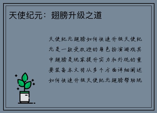 天使纪元：翅膀升级之道